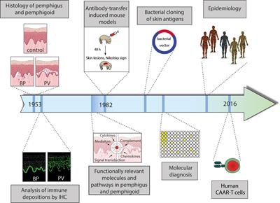 Milestones in Personalized Medicine in Pemphigus and Pemphigoid